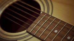Macro string instruments guitars