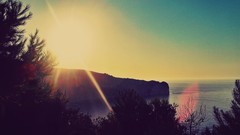 Macro sunset Sea Trees clouds skies