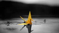 Macro Swans origami selective coloring color splash scotfield