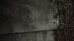 Macro Textures nature dark Plants Wood vines