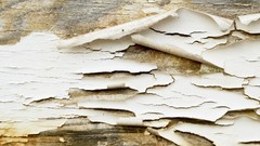 Macro Textures wall white paint decay