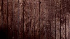 Macro Textures wall Wood