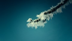 Macro Trees snow winter blue