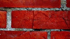 Macro wall Bricks