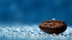 Macro water dew coffee Coffee Beans bokeh water drops 