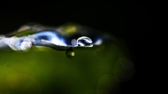 Macro water drop