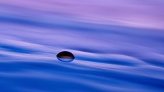 Macro water drop ripples