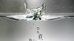 Macro water drops