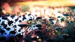 Macro water drops abstract bokeh