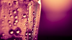 Macro water drops condensation Waterbottle