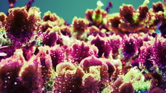 Macro water drops Photo manipulation artwork