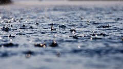 Macro water water drops depth of field water splash
