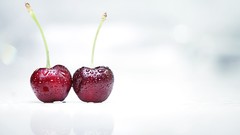 Macro white background cherries fruits