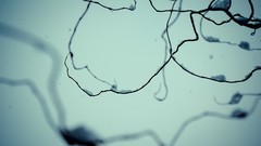 Macro winter blue abstract close-up