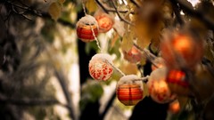 Macro winter Holidays decorations