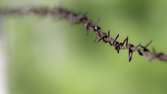 Macro wire Green barbed wire