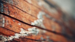 Macro Wood bokeh