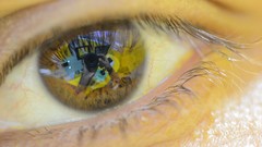 Macro work eyes Nikon reflections anatomy