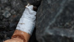 Macro yellow gray white close-up Cigarettes rocks