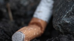 Macro yellow gray white close-up Cigarettes rocks
