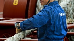 Maersk line cargo ship