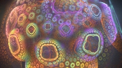 Magic mushroom high mynameishalo Resolution