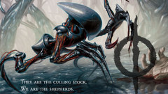 Magic: the gathering