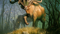 Magic: the gathering