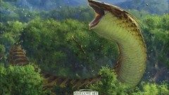 Magic: the gathering