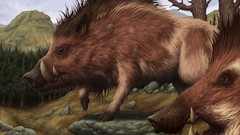 Magic: the gathering artwork Dave Allsop