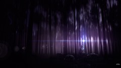 Magic Wolves forests