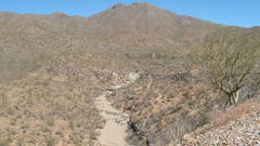 Magnificent desolation nature