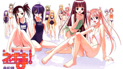 Mahou sensei negima Anime