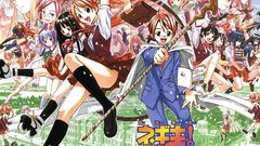 Mahou sensei negima Anime