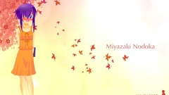 Mahou sensei negima miyazaki