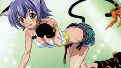 Mahou sensei negima nekomimi