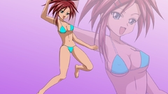 Mahou sensei negima Simple