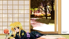 Mahou shoujo lyrical nanoha