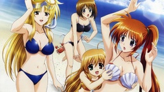 Mahou shoujo lyrical nanoha
