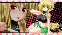 Mahou shoujo lyrical nanoha