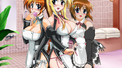 Mahou shoujo lyrical nanoha
