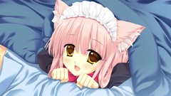 Maids beds nekomimi pink