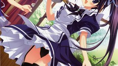 Maids ice cream Ryohka