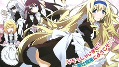Maids infinite stratos Dunois