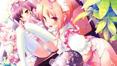 Maids lolicon sakura musubi