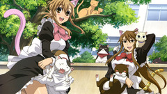 Maids long hair brown