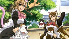 Maids long hair brown