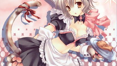Maids nekomimi