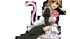 Maids nekomimi animal ears