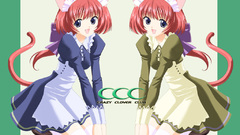 Maids nekomimi Anime